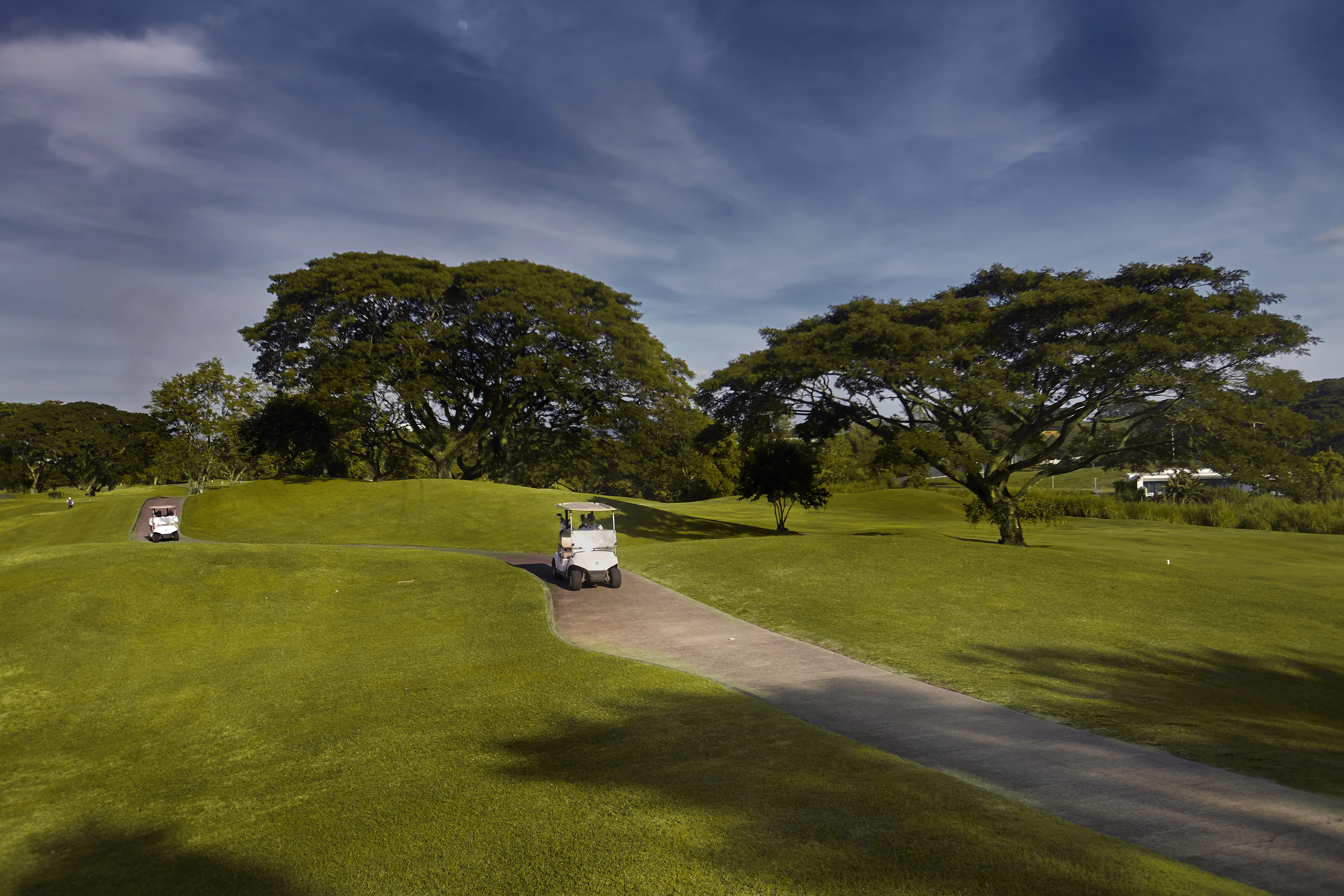 Mimosa Golf Course